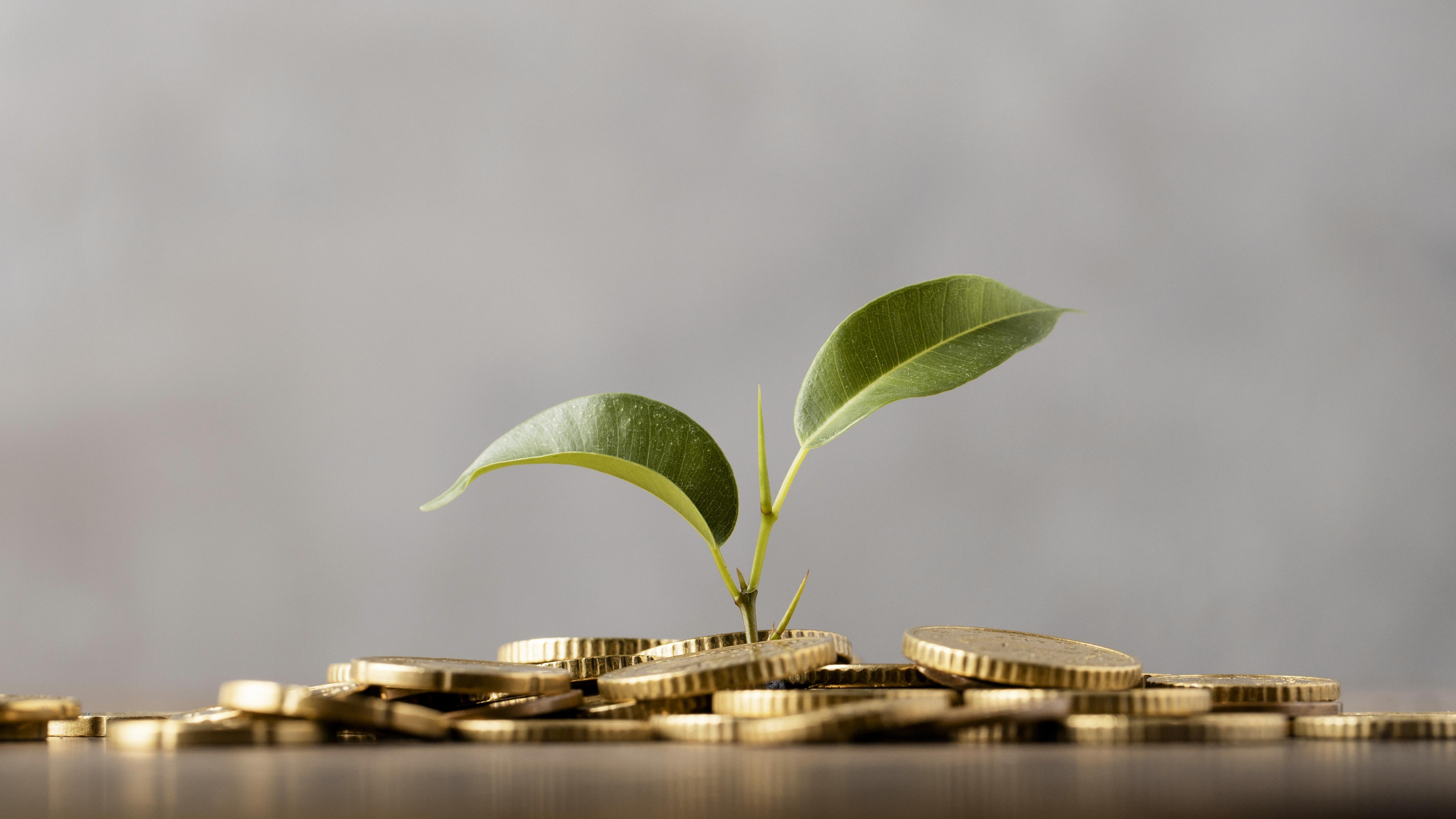 De weg naar een financieel fit leven